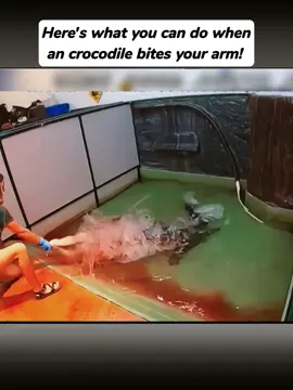 Here's what you can do when an crocodile bites your arm! #fyp #animal #annimals #animalworld #animalsoftiktok #foryou #foryoupage #crocodile 