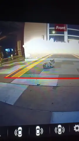 Assalam mulaikum..terima kasih kepada yang Komen baik2 dkt video sebelum ni tentang si buta ni.. untuk pengetahuan semua dia kucing liar..bila sy nak dekati dia akan terus ke jln..risiko untuk dia kena langgar amat2 tinggi sbb dia buta..ape yg sy buat skrg sy bg dia selesa duduk sini n baru kami tangkap untuk bawa klinik..ni video tadi dlm hujan dia lari dengar sy dtg dekat dia..jgn risau sy akan rawat dia semua kucing2 sy pun asal straycat..#catloversclub #straycat #catlovers #fypdongggggggg 