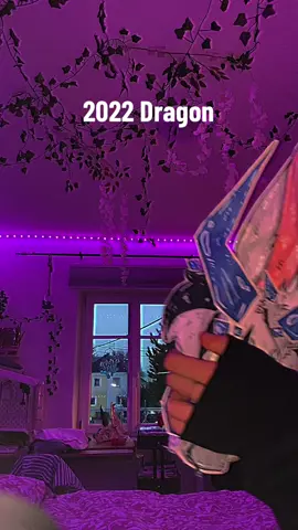 Only ogs know the name of the first dragon🫢 #dragonpuppet #paperdragonpuppet #meaesthetic #paperdragon #aesthetic 