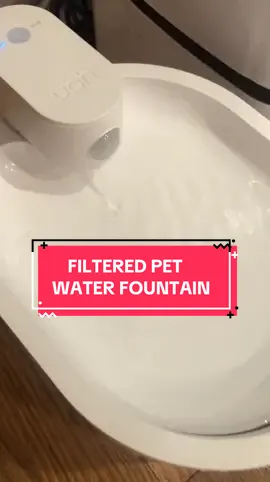 Filtered Pet Water Fountain #uahpet #uahpetwaterfountain #pet #cat #dog #petwaterfountain #theorganizerman 