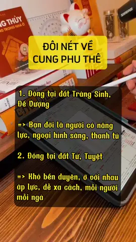 Một vài nét về cung Phu Thê #tuvi #tuvituongso #tuvi12congiap #tuvisomenh #tuvitamduc #LearnOnTikTok #xuhuong 
