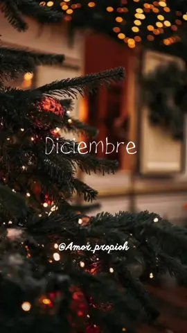 Diciembre 🎄: . . . #diciembreestaaqui #bienvendidodiciembre #ultimomesdelaño #reflexion #sentimientos #emociones #espiritunavideño #armonia #paz #pensamientos #1diciembre #adios2023 #amorpropio #amor_propioh