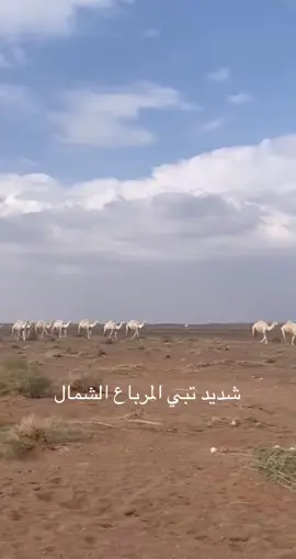 ديار الشمال