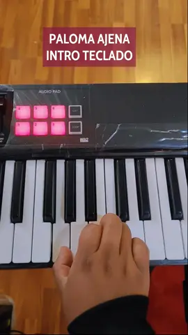 Paloma Ajena Agua Marina Intro Teclado #palomaajena #aguamarina #teclado