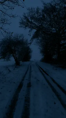 blue hour walk  #calm #darkaesthetic #bluehour #winter #snow  @Chris 