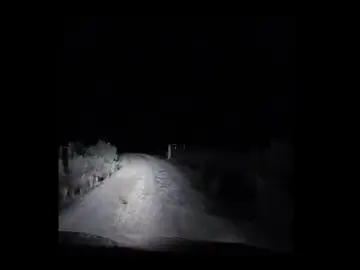 nightdrive + juicy luicy = bengong