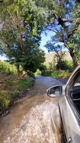 #البلاد #تعز 