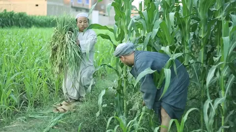 #ابوالعفي #الحج_عقبي 😂❤️