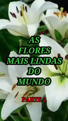 AS FLORES MAIS LINDAS DO MUNDO (PARTE 2) 😱🪴🌺  #flores #plantas #folhagens #natureza #naturezaperfeita #curiosidades #curiosidade #vocesabia #flor