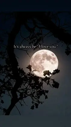 Until our next collide my moon>>
