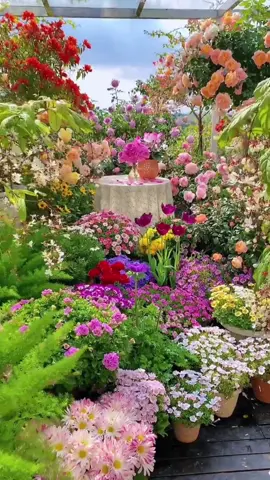 Nếu được bước vào thế giới hoa này, bạn sẽ làm gì? #hatgionghoa #hoadepdontet #gocsanvuon #hoadepbonmua #thichlamvuon #hoatonghop 