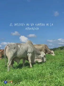 #viral #vaparatiiralvideo #lirics #fypシ #tiktok #tiktok #tutorial #estadosparawhatsapp #musikviral #corridos #fyyyyyyyyyyyyyyyy #alucines📿🧿🙈 #letrasdecanciones #macarenameta #vaparati #ganaderia🐂🐎 