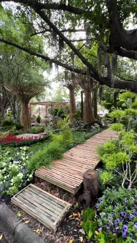 TAT#อยากพาไปเที่ยวงานพรรณไม้งามอร่ามสวนหลวง ร.๙ ด้วยกัน#tiktokพาเที่ยว#เที่ยวสวนสาธารณะ #กรุงเทพมหานคร # @TAT  @TAT  @TAT 