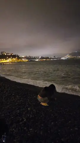 eres #gruponiche #salsa #salsita #fyp #musica #costaverde #lima #miraflores #peru #music #beach #noche #night #eres 