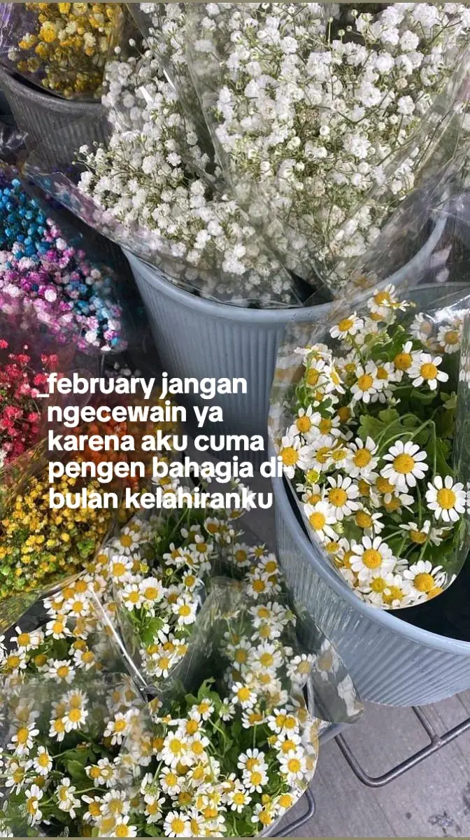 #request #4u #yzxcba #fyp 