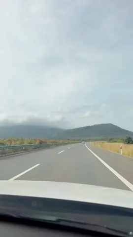 Lets have a road trip together!! 