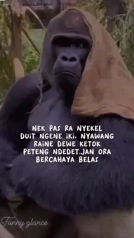 seng tgl enom tp gajine gor liwat thok😅#xzyabc #fypシ゚viral #fypdongggggggggシ #storyrandom🥀 