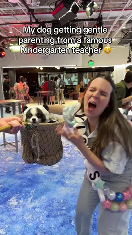 Huxley’s huff when he finally listens 😆 @frazz  . . #dogsofttiktok #funny #comedy #cutepets  Huxley got to meet the famous TikToker and Kindergarten teacher Mrs Frazz at a creator event and he loved her! He wore his own Pandaloon panda dog costume because it was a costume/holiday event.