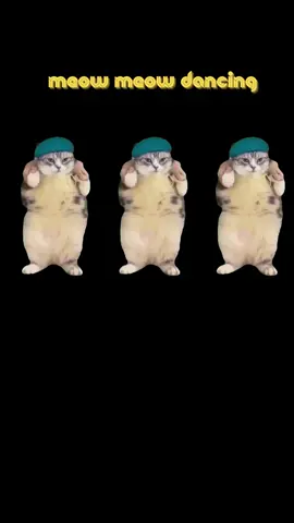 Meow meow ringtone 🤣🤣🤣 #music #funny #fyp #cat #meow #meowdance 