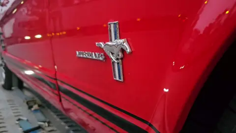 Ford Mustang V8 289 BMW 635CSI Buduci Klasici