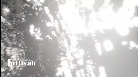 Sejarah Indonesia #habibalialhabsyikwitang #sejarahdunia #ulamaindonesia #nahdatululama #kwitangjakarta #fyp #fypシ #fypシ゚viral 