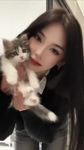 #고양이 #노르웨이숲 