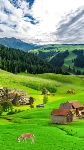 No copywriting, only beautiful scenery #nature #scenery #beautifull #beauty #foryou #fyp #cure #f 