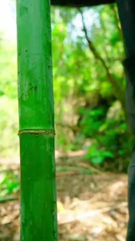 #handmade #handcraft #LearnOnTikTok #fyp #foryou #chineseculture 