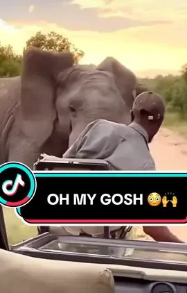This is why you don’t just go on Safari, you go on Safari with trained and well experienced Trackers and Guide. 👏🏽👏🏽😮😳🙌 #nature #wildlife #animals #elleafricasafari #spiceyelle #africa #africanwildlife #animalsoftiktok #elephant 