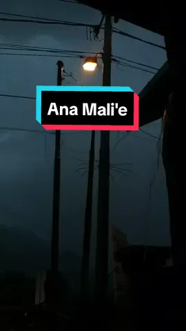Ana Mali'e☺️ #lirik #cover #lagubugis #akustik #liriklagu #bugis 