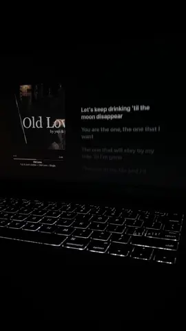 Old love #oldlove #yujiandputridahlia #fyp #audio #trend #lyrics 