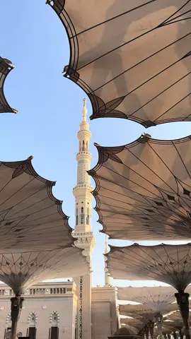 The beauty of Masjid an Nabawi #madina #umrah #madinasharif 