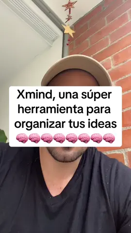 Xmind, la propia herramienta para estructurar tu contenido de forma organizada y facil. Esto facilita mucho el proceso de creacion de contenido y de estructuracion de procesos. Infinitas posibilidades hay en esta herramienta.  #xmind #mapasconceptuales #informacion #mapasmentales #mapas #crecaciondecontenido #contenidodigital #infoproductos #ventas #negocios #emprendimiento #autoestima #valor 