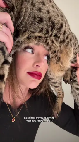 arrow doesnt prefer it 