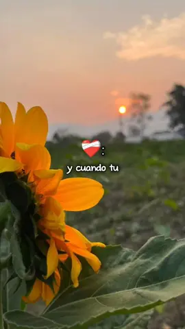 cada día más voy a quererte cada día más 🎶🎶❤️🥀#remmyvalenzuela #cadadiamas #CapCut #amor #musica #regionalmexicano #fyp #plantillas #parati 