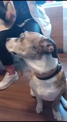 #folgen #mylove #fyp #liken #wahreWorte 