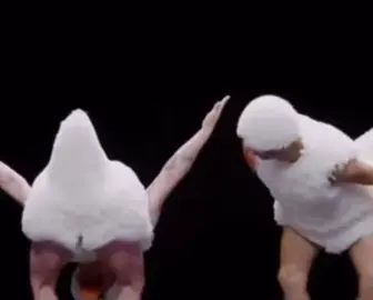 Duck Orchestra by chico Mambo Ballet.#ballet #swanlake #danza #dance  #arte #cultura #familialatina 