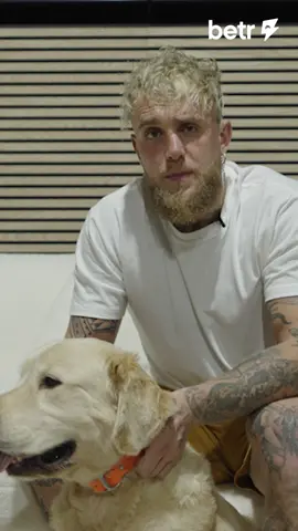 Save your Sundays with @Betr Picks 🙌 #football #nfl #fantasy #funny 