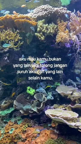 #foryoupage #fyp 