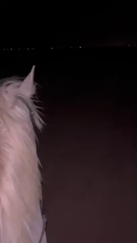 ركوب الليل🎼🤍#الخيول_العربية #🐎الخيل #خيول_عربية_اصيلة #عنزه_بني_وايل🤩🖤 #عرعر_الشمال #عرعر_الشمال #اكسبلور #شارع_الخمسين_عرعر #خيول 