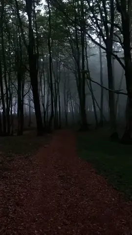 #paratiiiiiiiiiiiiiiiiiiiiiiiiiiiiiii #fypシ #noflop #paratii #fypシ #fypシ #LALALALA #terror #bosque #musica 