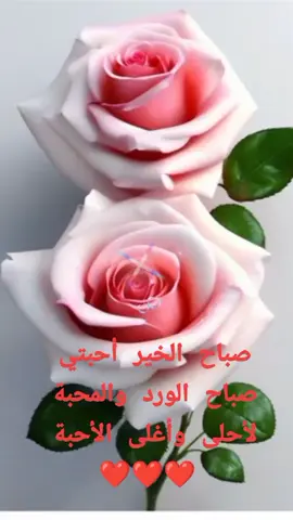 #كلك_دفى_وحنيا_يابو_نضرا_سحريا #الطرب_العراقي_الاصيل🎶 #اكسبلووووووووووووووووووووورر #❤️❤️❤️❤️❤️❤️❤️❤️❤️❤️❤️❤️❤️❤️❤️ 