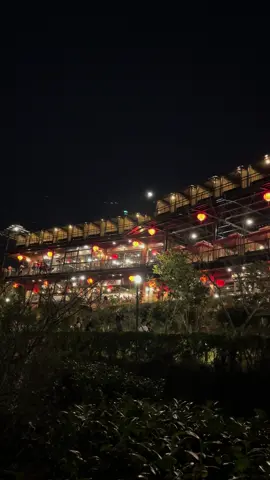 來到神隱國度♨️  #清豐濤月 #賞花賞月賞貓貓 