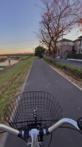 #fyp #xyzbca #tiktokjepang🇯🇵 #kenshuseijapan🇮🇩🇯🇵🎌 #jishuseijepang🇮🇩🇯🇵 