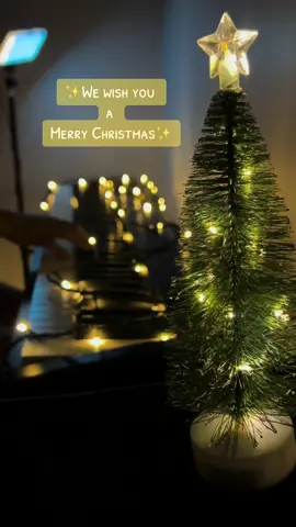 We wish you a Merry Christmas #pianoinstrumental #foryou #fyp #pianocover #christmassong #christmasmusic 