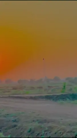 #Oh Sindh amma#♥️♥️♥️♥️ #♥️♥️♥️♥️ #oryoupageofficiall #oryoupageofficiall #♥️♥️♥️♥️ #♥️♥️♥️♥️ #oryoupageofficiall #oryoupageofficiall #♥️♥️♥️♥️ #oryoupageofficiall #foryoupage #explore #foryoupage #oryoupageofficiall #♥️♥️♥️♥️ 