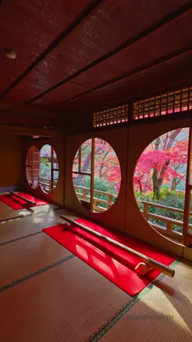 秋の嵐山祐斎亭 Arashiyama Yusai-tei in autumn 川端康成も執筆のために宿泊していたという築150年の元料理旅館から嵐山と桂川の素晴らしい紅葉の眺めを楽しむことができます。 You can enjoy the wonderful view of the autumn leaves of Arashiyama and Katsura River from this 150-year-old former ryokan (Japanese-style inn), where Yasunari Kawabata used to stay for his writing. #嵐山 #祐斎亭 #京都の紅葉 #そうだ京都行こう #visitjapan #japantravel 