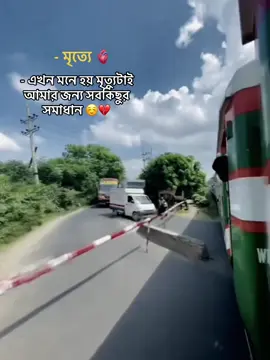 এখন মনে হয় মৃত্যুটাই আমার জন্য সবকিছুর সমাধান ☺️💔 #caption #type #fypシ゚viral #fypシ゚viral #growmyaccount #foryou #foryourpage #unfrezzmyaccount #bluesky##train 
