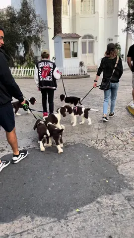 😍