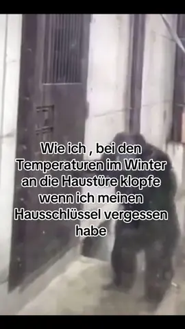 Mach auf ich erfriere 🥶❄️ #klopenmalanders #ausrastenwegenkälte #schlüsselvergessen #foryourpage #fürdichseite #lassmichdochrein #esistkaltdraussen #fyyy